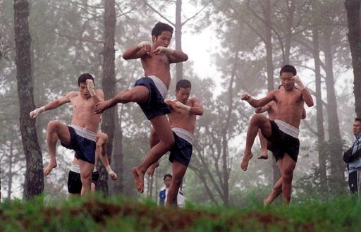Vorschau Bild von Lassen Sie sich von den aufregenden und einzigartigen Techniken der ältesten Kampfsportarten der Welt inspirieren. und trainieren Sie mit uns in unseren Workshops während des Festivals