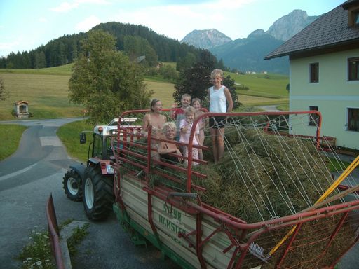 Bäuerlicher Gästering - Heuernte