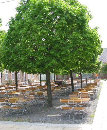  Der traditionelle Gastgarten.