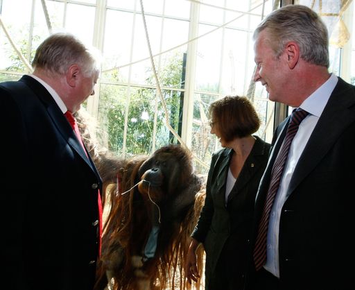 Vorschau Bild von Die neue ORANG.erie im Schönbrunnder Tiergarten: Bürgermeister Häupl, Tiergartendirektorin Schrattner und Wirtschaftsminister Mitterlehner besuchen den Orang Utan in seiner neuen Unterkunft