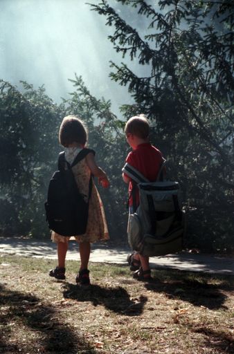 Vorschau Bild von BILD zu OTS