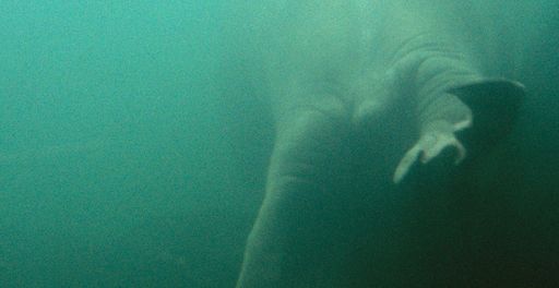 Vorschau Bild von Das wässrige Türkis eines Leuchtbilds erinnert an ein "Aquarium" ohne dass aber enträtselt werden könnte, was sich im Inneren befindet, was hier genau zu sehen ist - ein nach rechts wegschwimmendes oder auftauchendes Lebewesen, kein menschliches vermutlich, doch wenn ein Tier, dann was für eines?