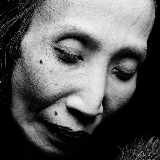 Vorschau Bild von Maria Hai-Anh Tuyet Cao