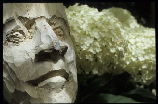  Am 13. und 14. Juni ist Hartberg von Kopf bis Fuß auf Garten eingestellt