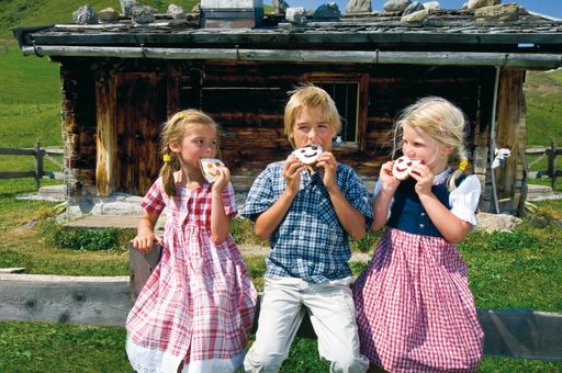 Almerlebnis pur erfahren Urlauber bei Nächtigungen in einer der zahlreichen Salzburger Almhütten.