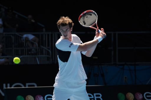 Vorschau Bild von Seit Montag, 22 Juni 2009, wird wieder am "heiligen Rasen" von Wimbledon gespielt - und HEAD ist in diesem Jahr mit neuer Technologie und mit einem starken Team rund im die Aushängeschilder Novak Djokovic und Lokalmatador Andrew Murray am ältesten und prestigeträchtigsten Tennisturnier der Welt vertreten. Rund 30 % der Spieler in Wimbledon spielen mit HEAD.