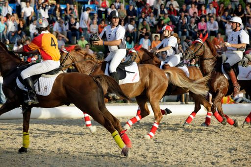  Vom 18. - 19. Juli 2009 findet am Gelände des Reitsportzentrum Hiesberger in Markersdorf ein weiteres Turnier der diesjährigen Wettkampfsaison in Horse-Ball statt.