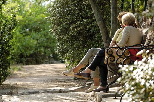 Senioren werden als Zielgruppe für den Tourismus immer wichtiger. Die neue Generation von Senioren besteht Großteils aus junggebliebenen, aufgeschlossenen und selbstbewussten "Alten", die ein aktives Leben auch in hohen Jahren noch verbringen und selbstverständlich auch das Reisen genießen möchten.