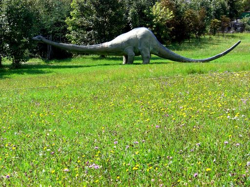  Im Familienpark Wachau leben die Giganten der Urzeit wieder auf.