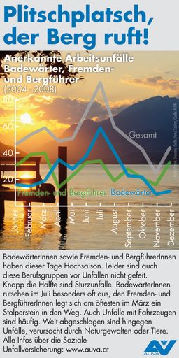 Anerkannte Arbeitsunfälle Badewärter, Fremden- und Bergführer (2004 - 2008)