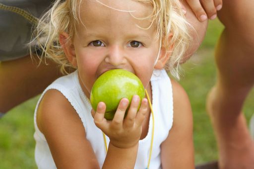 Einige österreichische Betriebe haben sich auf gesunde Ernährung spezialisiert und achten ganz besonders auf die kulinarischen Bedürfnisse der Kinder.