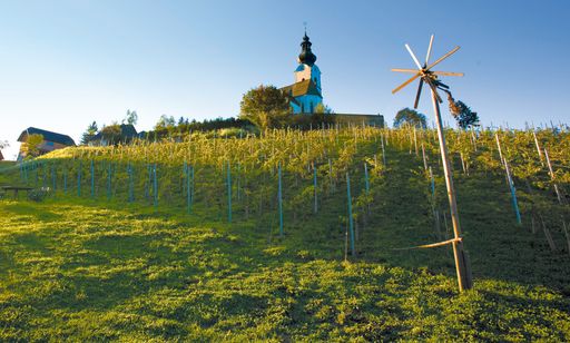 6 Weinbauregionen unterscheidet man in Kärnten. Das im südlichen Kärnten gelegene Trixnertal spielte damals wie heute eine wichtige Rolle im Kärntner Weinleben. Wein 
wurde schon vor 2500 Jahren hier getrunken.
