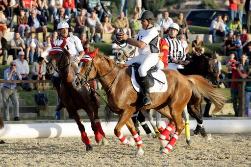  Am Samstag, dem 29. August 2009, findet im Magna Racino in Ebreichsdorf im Zuge eines Dressurturniers mittags ein Horse-Ball-Spiel statt.