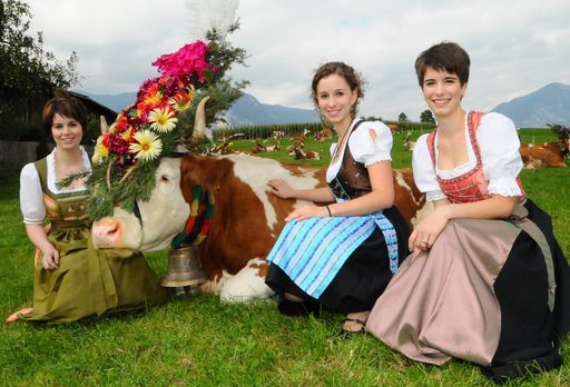 Die Heimkehr von der Alm wird in Reith im Alpbachtal an zwei Samstagen mit einem großen Fest gefeiert.