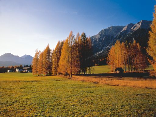 Vorschau Bild von Der neue Schmankerlpfad der Ferienregion Mieminger Plateau & Fernpass Seen ermöglicht allen Gästen einen neuen Blick und einen intensiveren Bezug zur Region. Vor allem die Eigen- und Besonderheiten des Plateaus und seiner bäuerlichen Produkte werden dabei betont.