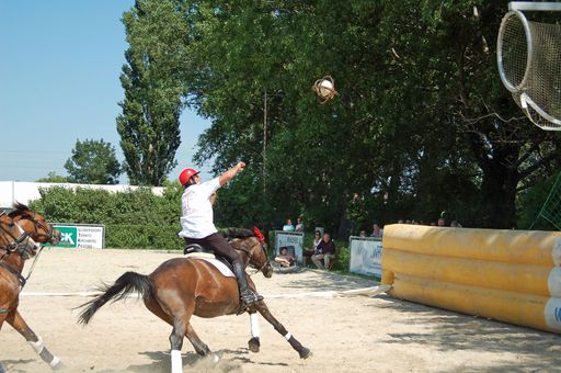 Vom 2. bis 4. Oktober 2009 wird in der Arena Nova in Wiener Neustadt im Zuge der "Apropos Pferd" die österreichische Staatsmeisterschaft in Horse-Ball ausgetragen.