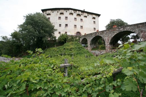  Die größte und wohl älteste Rebe der Welt: der Versoaln auf Schloss Katzenzungen.
