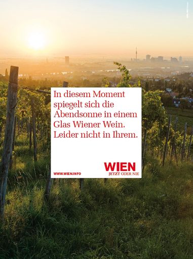 Vorschau Bild von Mattgoldene Lichttöne dominieren die Bildsujets bei der neuen Werbelinie des WienTourismus.