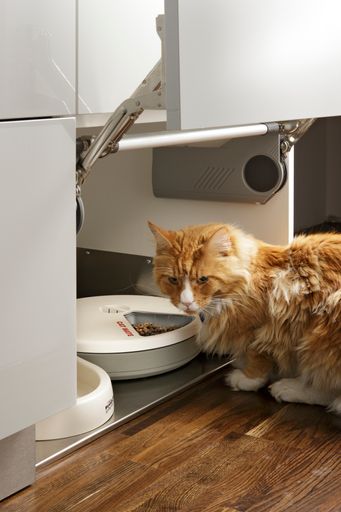 Vorschau Bild von Wasser und Futter automatisch: Eine geniale olina Entwicklung ist der integrierte Futter- und Wasserplatz. In einem Unterschrank sind Futterautomat und Wasserspender in einer regelrechten Höhle untergebracht. Hier können die Haustiere nahezu ungestört fressen und trinken. Der Clou: Mit einer Zeitschaltuhr lassen sich die Fütterungszeiten programmieren, z. B. wenn Sie mal länger nicht zu Hause sind.