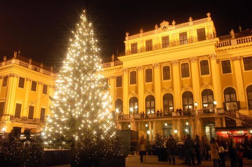 Christbaum und Schloss Schönbrunn seitlich nachts / Aufnahmeort: Schloss Schönbrunn.