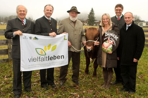 http://pressefotos.at/m.php?g=1&u=62&dir=200911&e=20091126_s&a=event
"Wer bietet mehr - für ein Leben voll Vielfalt! Mit Ja! Natürlich und Sepp Forcher am Pinzgauer Herbststiermarkt in Maishofen"