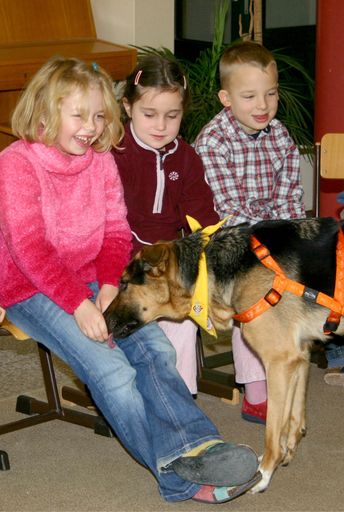  Wirksame Unfallvermeidung durch Schulprogramm "Rund um den Hund". Deshalb ist es wichtig, noch einen Schritt weiter zu gehen und bereits Kindern frühzeitig die wichtigsten Regeln für das Verhalten gegenüber (fremden) Hunden beizubringen.