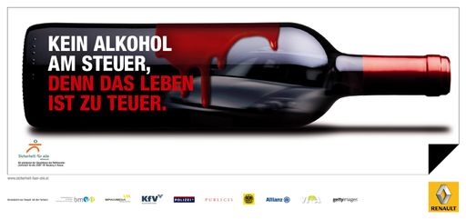 Steirischer Landessieger von Sicherheit für alle 2008/2009, Michael Holzer und Michael Schrittwieser, Hauptschule Neuberg/Mürz