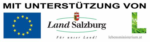 Vorschau Bild von Mit Unterstützung von Bund, Land und Europäischer Union.