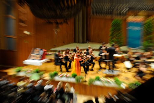  Die Geigenvirtuosin Elena Denisova erntete gerade für ihre Welt-Premiere der Haydn-Violinsonaten und davor für ihr "Vivaldi Project" (Sie spielt die Vier Jahreszeiten auf vier barocken Meistergeigen aus Cremona - zwei Stradivaris, eine Guarneri, eine Ruggeri), glänzende Kritiken und sorgte vor kurzem im Wiener Schönberg-Center mit dem eminenten Reger-Violinkonzert für Aufhorchen.