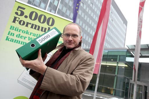 Vorschau Bild von (C)Michael Hetzmannseder