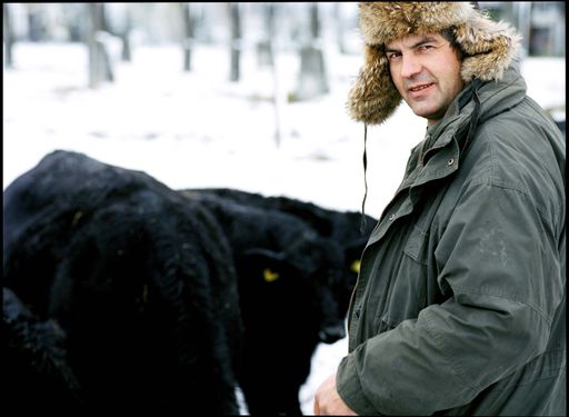  Werner Michlits sen. mit Angus Rindern.