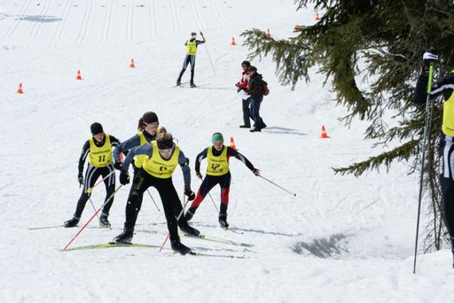  Von 4. bis 7. Februar 2010 steht Absam ganz im Zeichen des Jugendsports. 500 Schüler und Jugendliche messen sich in der Region Hall-Wattens in sämtlichen nordischen Sportarten und küren die österreichischen Schüler- und Jugendmeister in den Disziplinen Langlauf, Sprunglauf, nordische Kombination und Biathlon.