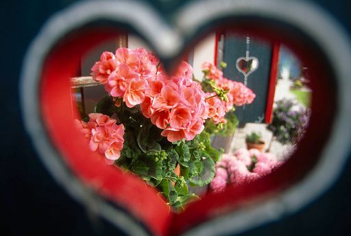 Love is in the air