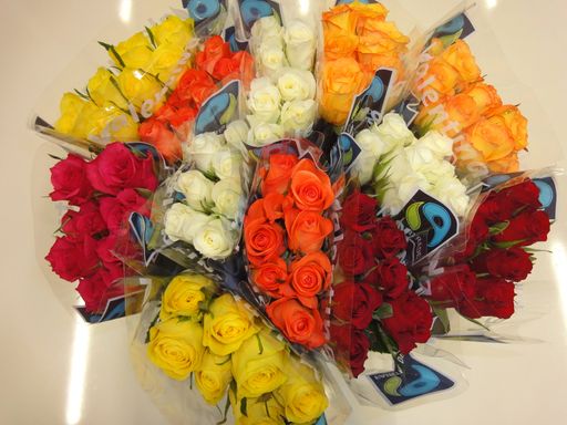 Fair und beliebt: Verkauf von rund sieben Millionen Fairtrade-Rosen im Jahr