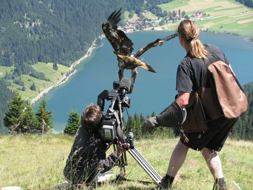  Nicht nur Hauptdarsteller, sondern auch Crew-Mitglied: in diesem Fall ist der Adler der Kameramann.