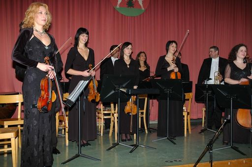 Vorschau Bild von Kammerorchester "Schloss Schönbrunn Orchester Wien