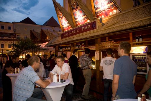 Wels lockt auch heuer wieder mit zahlreichen Top-Veranstaltungen aus den Bereichen Sport, Kultur und Freizeit.