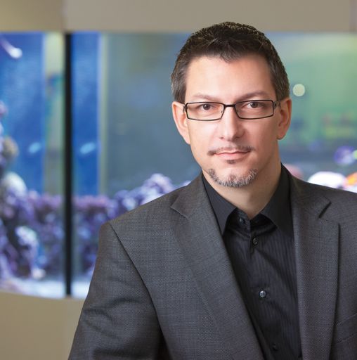 Vorschau Bild von reefness-Geschäftsführer Mag.(FH) Alexander Buchinger