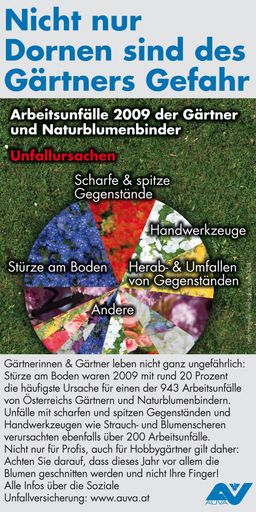 Arbeitsunfälle 2009 der Gärtner und Naturblumenbinder