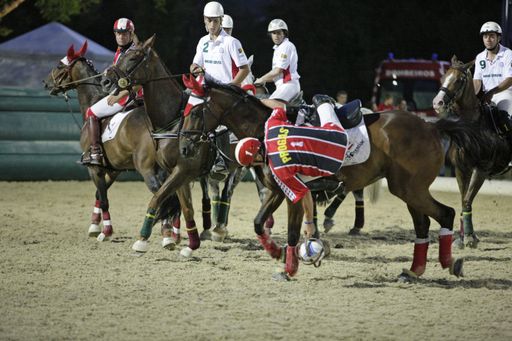 Am Sonntag, dem 23. Mai 2010 findet um 11:50 Uhr im Magna Racino in Ebreichsdorf im Zuge der Magna Racino Spring Tour 2010 ein demonstratives Horse-Ball-Spiel statt.