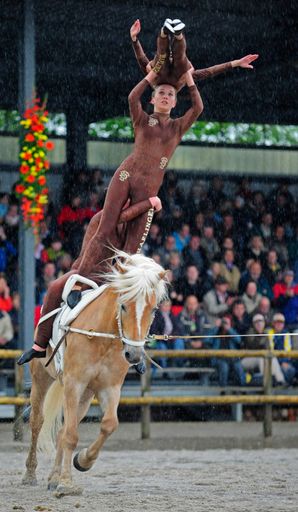 Vorschau Bild von Haflinger Weltausstellung 2010 Eröffnung. Bild zeigt: Voltigierer