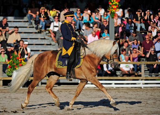 Vorschau Bild von Ebbs, Fohlenhof, Haflinger Weltausstellung 2010.  Abendstern