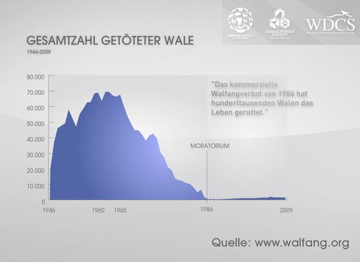 In zwei Wochen entscheiden Regierungsvertreter von mehr als 80 Staaten bei der Tagung der Internationalen Walfangkommission (IWC) in Agadir, Marokko, über die Zukunft dieses Gremiums. Konkret wird über einen Vorschlag abgestimmt, der für 10 Jahre das seit dem Jahr 1986 gültige kommerzielle Walfangverbot (Moratorium) in einigen Regionen der Weltmeere aufhebt. Aus diesem Anlass veröffentlichen die internationale Wal- und Delfinschutzorganisation WDCS, das Animal Welfare Institute (AWI) und die Humane Society International (HSI) mit Hilfe benutzerfreundlicher Grafiken im Onlinebereich unter www.walfang.org alle Walfangzahlen seit 1946, dem Jahr der Grndung der Konvention zur Regulierung des Walfangs.Das seit 1986 in Kraft befindliche internationale kommerzielle Walfangverbot rettete Hunderttausenden Walen das Leben.