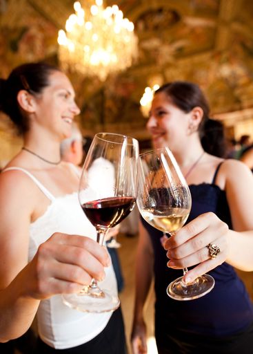 http://pressefotos.at/m.php?g=1&u=84&dir=201006&e=20100608_f&a=event
TOP WEIN NIEDERÖSTERREICH 2010