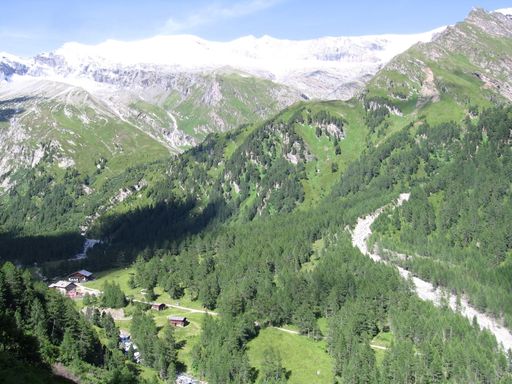 Vorschau Bild von Das Kalser Dorfertal ist die neue Heimat von Figol und Tschadin.