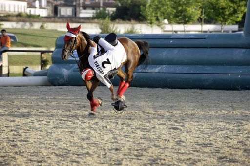 Bei dieser rasanten Pferdesportart kommen die Zuschauer immer wieder in den Genuss von spektakulären Szenen und dem akrobatischen Können der Reiterinnen und Reiter.
