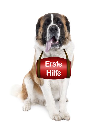  Erstmals gibt es jetzt professionelle Erste Hilfe-Tipps für Hund und Katze als Kurzfilme im Internet. Eine Serie von Video-Spots demonstriert, wie man seinem Liebling die oft lebensrettende Erste Hilfe leistet.