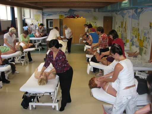 40 Physiotherapeuten und Masseuren aus 12 Ländern nützten auch heuer wieder die Gelegenheit, die manuelle Lymphdrainage nach Dr. Vodder von den Senior-Instruktoren in der Dr. Vodder-Akademie am Walchsee zu erlernen.