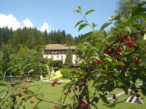 Der 5-Elemente-Garten des Schlank-Schlemmer-Hotel Kürschner