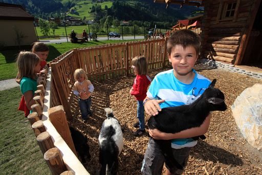  Abenteuerspielplatz "Gaudi-Alm" in Großarl, Streicheltiere bei der "Goaß-Alm", www.gaudi-alm.at.